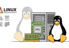 Understanding Linux: Why Linux is the Backbone of Cybersecurity and Ethical Hacking in 2025