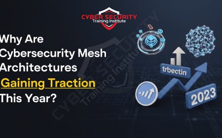 Why Are Cybersecurity Mesh Architectures Gaining Traction This Year?
