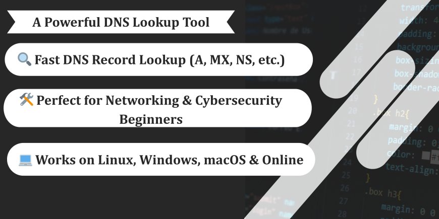 Understanding DIG | The Ultimate DNS Lookup Tool for Cybersecurity, Networking & Domain Troubleshooting