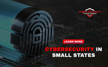 The Silent Defenders | How Small States like Goa and Sikkim Handle Cyber Threats