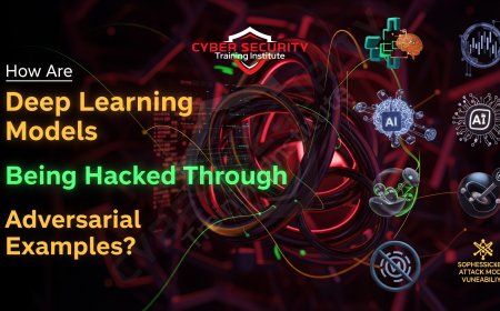 How Are Deep Learning Models Being Hacked Through Adversarial Examples?