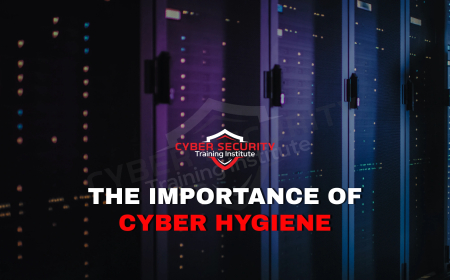 Why Is Cyber Hygiene Critical for Everyone Online?