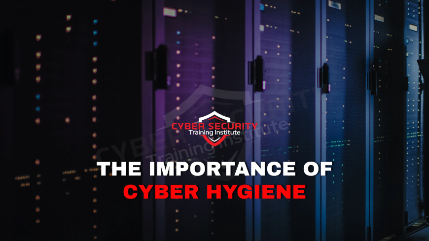 Why Is Cyber Hygiene Critical for Everyone Online?
